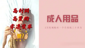 私域做成人用品赛道，一个月变现30W的案例及操作步骤AQ学堂_资源分享站_资料宝库站_资源宝库站_项目宝藏站艾淇学堂